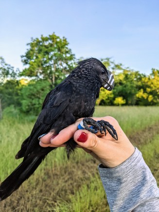 PXL_20211113_105807014~2